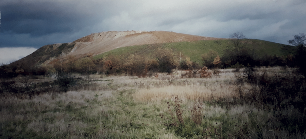 1998 :
Photo esplanade au pied de la Colline. La végétation commence à prendre place au pied et
aux abords.
Source : Photo à partir de l’étude historique, documentaire et memorielle de IDDEA, 2019